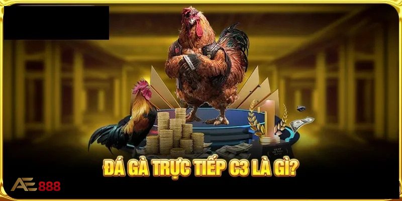 Đá Gà AE888 - Khái niệm về đá gà trực tuyến