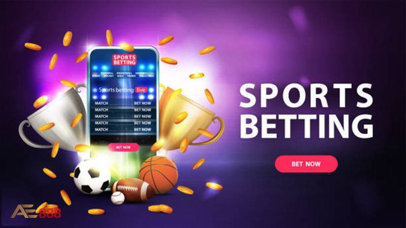 UG Sport - Cách hoạt động của sảnh cược thể thao
